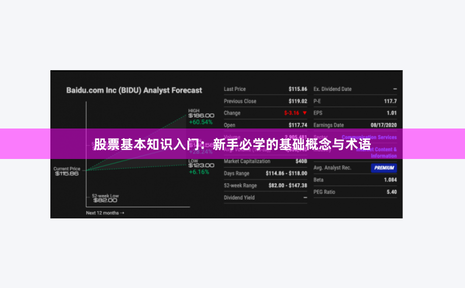 股票基本知识入门：新手必学的基础概念与术语